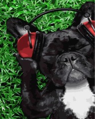 Набір для розпису по номерах Собака меломан Strateg розміром 30х40 см (SS-6507)