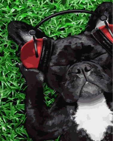 Набір для розпису по номерах Собака меломан Strateg розміром 30х40 см (SS-6507)