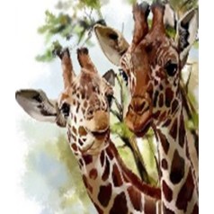 Алмазна мозаїка за номерами 40*50 