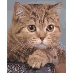 Картина за номерами 