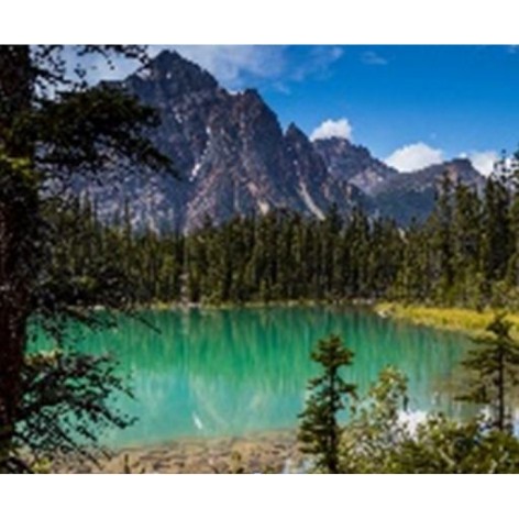 Алмазна мозаїка за номерами 40*50 