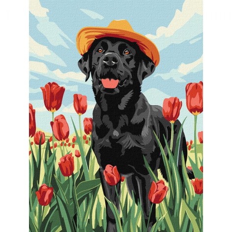 Набор для росписи по номерам "Волшебный лабрадор" 30х40см