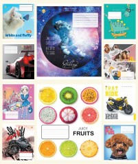 Зошит 12 арк.лінія Тверда 32102 12ЛВ8 МІКС 8, 25/600, 10к.  25 шт. в уп.