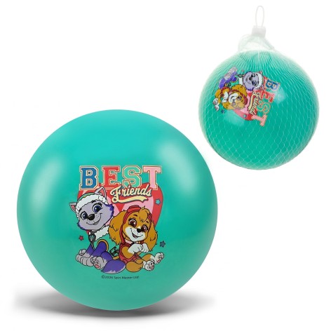 М'яч гумовий Paw Patrol 6'' 50 гр блакитний /400/