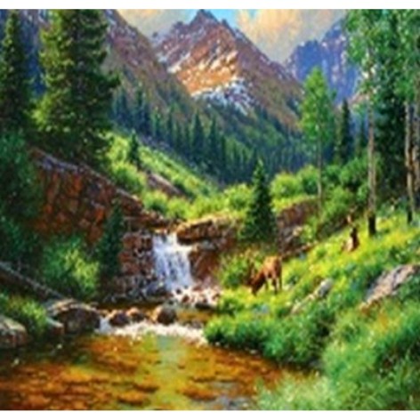 Алмазна мозаїка за номерами 40*50 