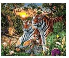 Картина по номерам "Тигры" 40*50см, краски акрилловые, кисть-3шт.(1*30)