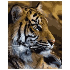 Картина по номерам VA-0248 "Тигр", розміром 40х50 см