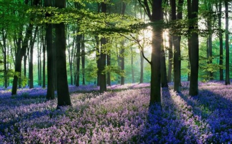 Алмазна мозаїка по номерах 30*40 