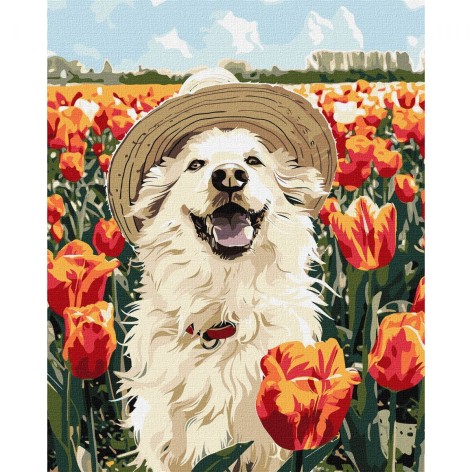 Набор для росписи "Счастливый лабрадор" 40х50см.