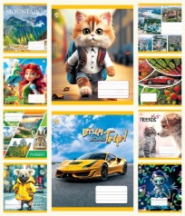 Тетрадь 12 арк. клетка Твердая ТЕ41103 Микс 5, 25/600, 10к. цена за 25 шт.