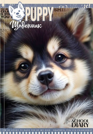 Дневник, 55г, 7БЦ, 165х240 мм, 40 листов., Матовая ламинция диз.25034