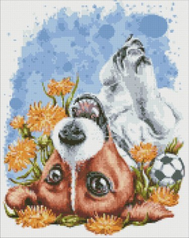 Набор с алмазной мозаикой (в обложке) 