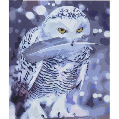 Картина по номерам 0642 ОРТ Сова из Хогвардса 40*50