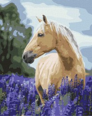 Набір для розпису по номерах. 