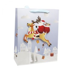 Новорічний пакет, вигляд 3