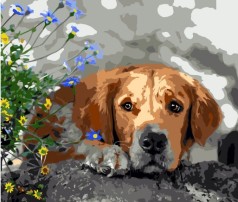 Набір для розпису по номерах Сумне цуценя Strateg розміром 40х50 см (GS054)