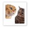 3D стикер "Мем: Коты" (цена за 1 шт)