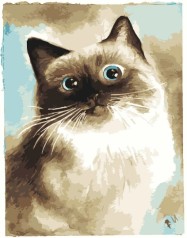 Набор для росписи по номерам Удивительная кошка Strateg размером 40х50 см (DY180)