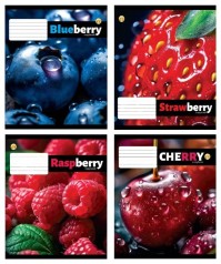 Набір зошитів Тетрада 