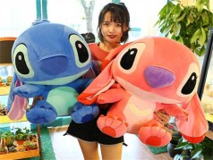 М'яка іграшка 2 види 