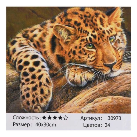 Картина по номерам TK Group, 30х40см, в кор.