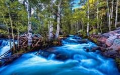 Алмазна мозаїка по номерах 30*40 