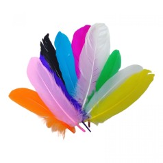 Набір для творчості - Пір'я кольорові (25178)