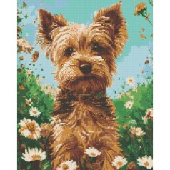 Алмазная мозаика 