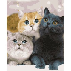 Картина за номерами 