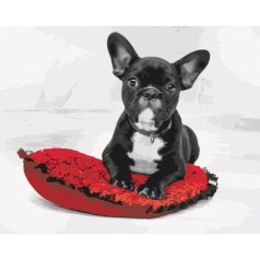 Картина по номерам: Моя любимая собачка 40*50 BS51842