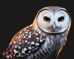 Набор для росписи по номерам Животные, птицы 