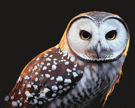 Набор для росписи по номерам Животные, птицы 