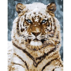 Картина по номерам Тварини, птахи "Усурійський тигр" 40*50см