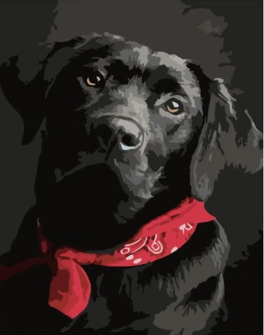 Набір для розпису по номерах Лабрадор з червоною пов'язкою Strateg розміром 40х50 см (DY288)