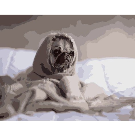 Картина за номерами 