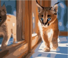 Набір для розпису по номерах Домашній рись Strateg розміром 40х50 см (DY185)