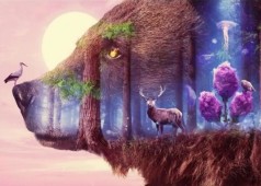 Алмазна мозаїка за номерами 40*50 