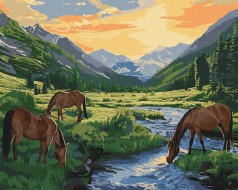 Набір для розпису по номерах 