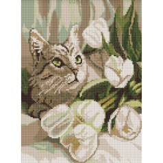 Алмазна мозаїка на підрамнику Ideyka 