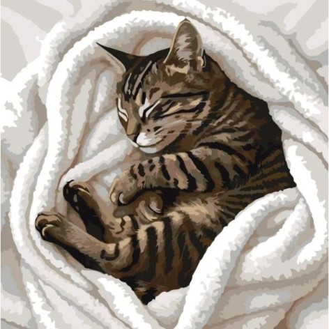 Картина по номерам "Сладкий сон" 30х30 см