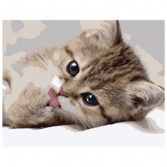 Картина по номерам VA-0522 "Маленький котик", розміром 40х50 см