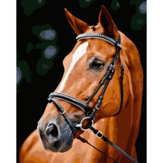 Картина по номерам 