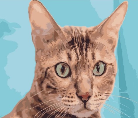 Набор для росписи по номерам Зеленоглазый кот Strateg размером 40х50 см (DY097)