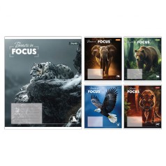 А5/36 лін. 1В Beasts in Focus, зошит учнівський загальний, ціна за 15 шт. //