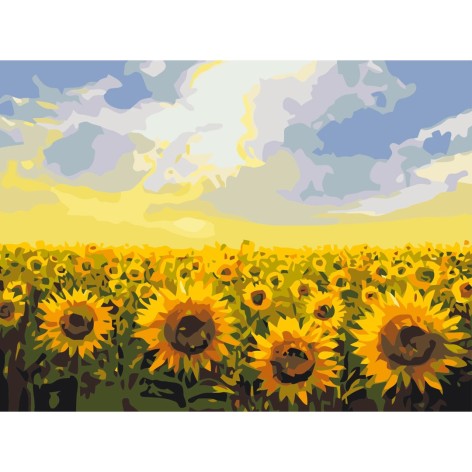 Картина по номерам "Поле подсолнечников"