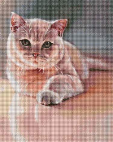 Набор с алмазной мозаикой 