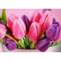 Алмазная мозаика по номерам 30*40 