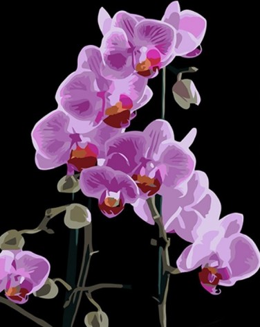 Набір для творчості алмазна картина Вишукана орхідея Strateg розміром 40х50 см (SK88281)