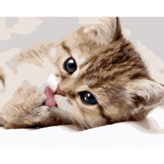 Набор для росписи по номерам Маленький котенок Strateg размером 40х50 см (GS1133)