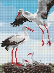 Набор с алмазной мозаикой Идейка 